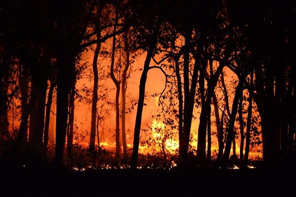 Reclamación de daños por incendio